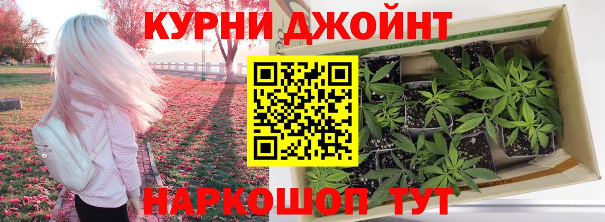 Конопля AK-47  Марихуана White Widow  Тверь  Вход с VPN  Бошки Шишки сатива 